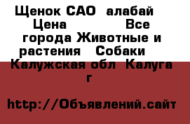 Щенок САО (алабай) › Цена ­ 10 000 - Все города Животные и растения » Собаки   . Калужская обл.,Калуга г.